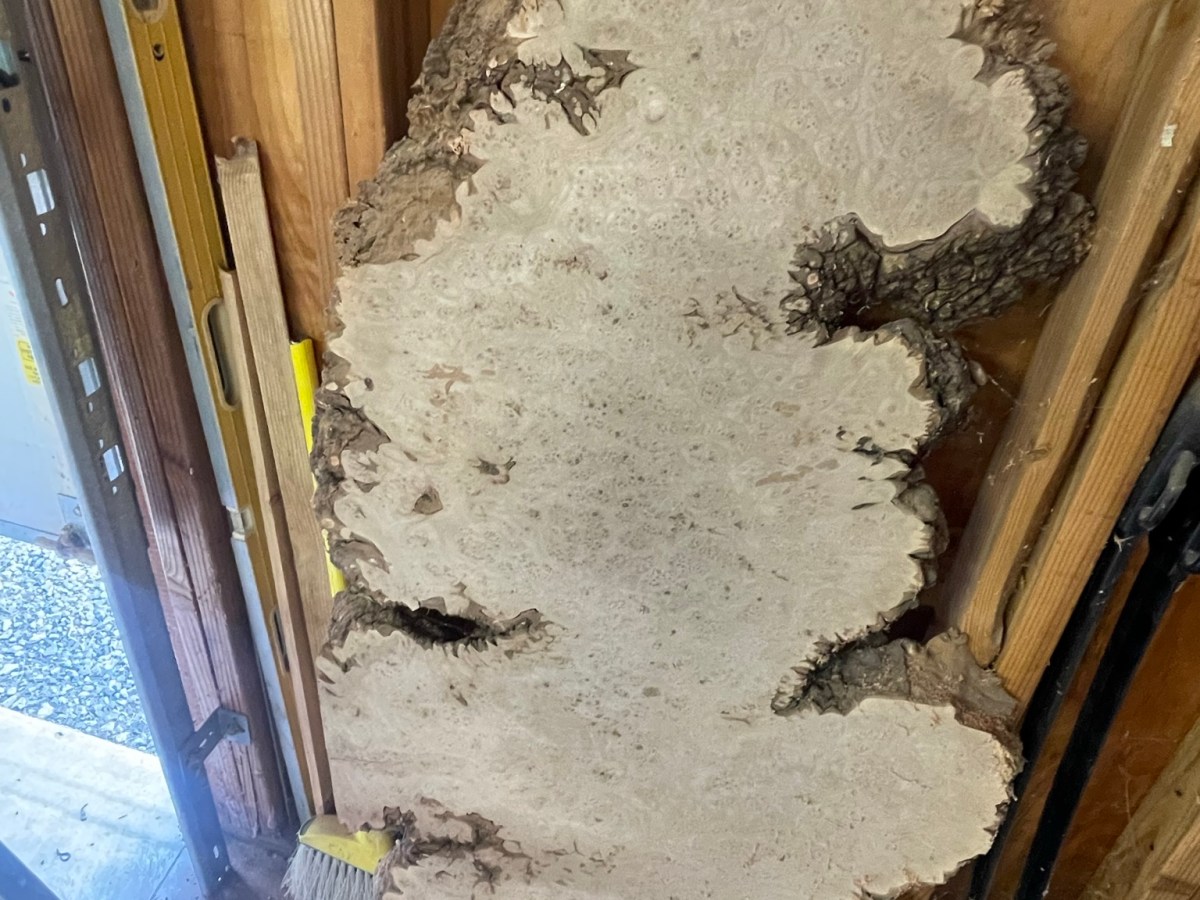 Birds Eye Big Leaf Maple&nbsp;Project